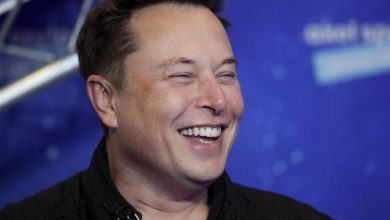 México: Cómo contratar el internet de Elon Musk